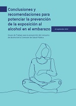 Imagen de las Conclusiones y recomendaciones para potenciar la prevención de la exposición al alcohol en el embarazo (2024)