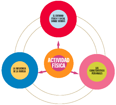 Factores como la familia, el entorno en el que vivimos y nuestras características personales influye en la actividad física